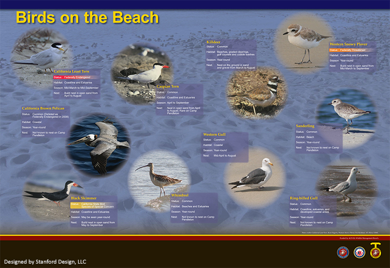 CP Lifeguard Station panel