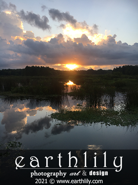 Sunrise Delray